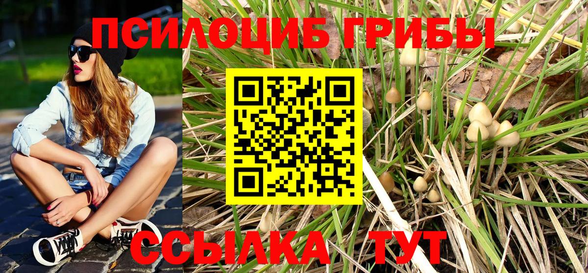 Галлюциногенные грибы GOLDEN TEACHER  Галлюциногенные грибы мухоморы  Прокопьевск  Вход с VPN 